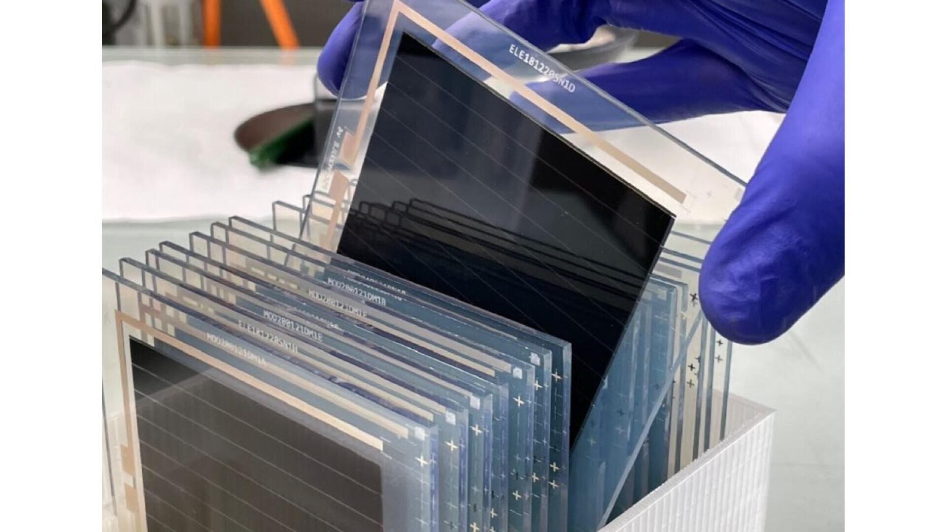 A gloved hand is lifting a thin, transparent solar cell panel from a container holding several similar panels, likely in a laboratory setting.