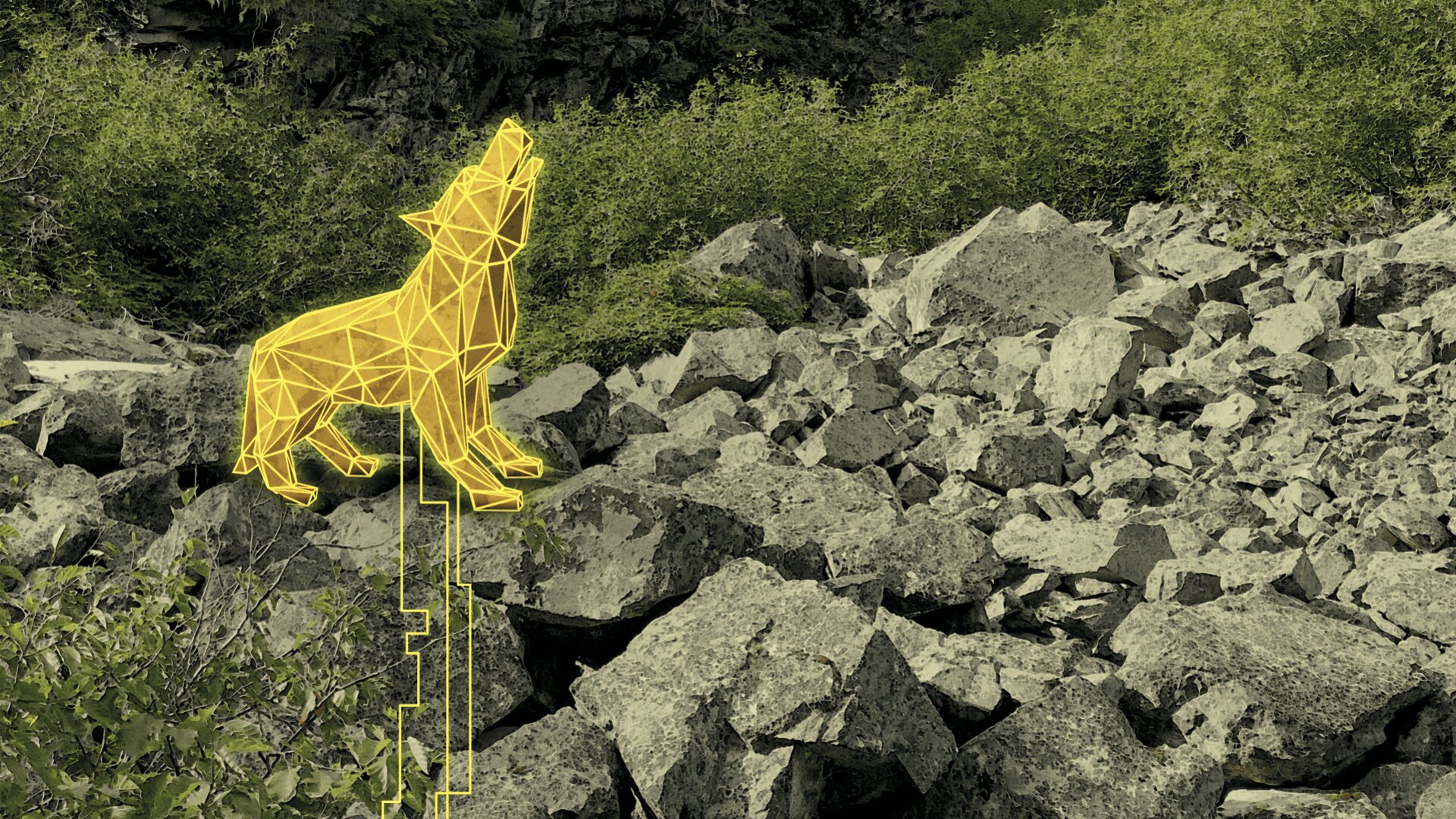 Ein digitales, gelbes Drahtgitter eines heulenden Wolfs steht zwischen grauen Felsen und grünen Sträuchern in einer zerklüfteten Landschaft.