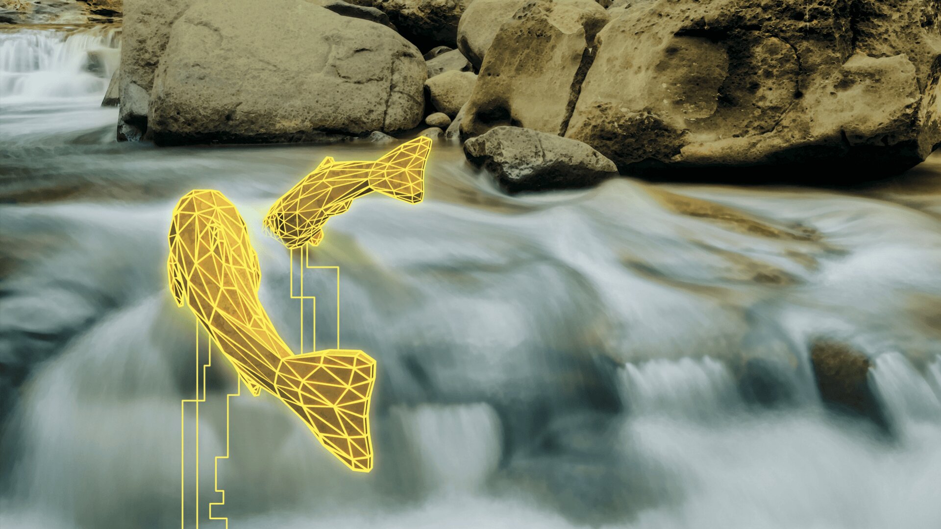 Ein Bach fließt über Felsen, und über dem Wasser sind zwei gelbe, digitale Fischdarstellungen in Drahtgitteroptik angebracht, die natürliche und digitale Elemente miteinander verbinden.