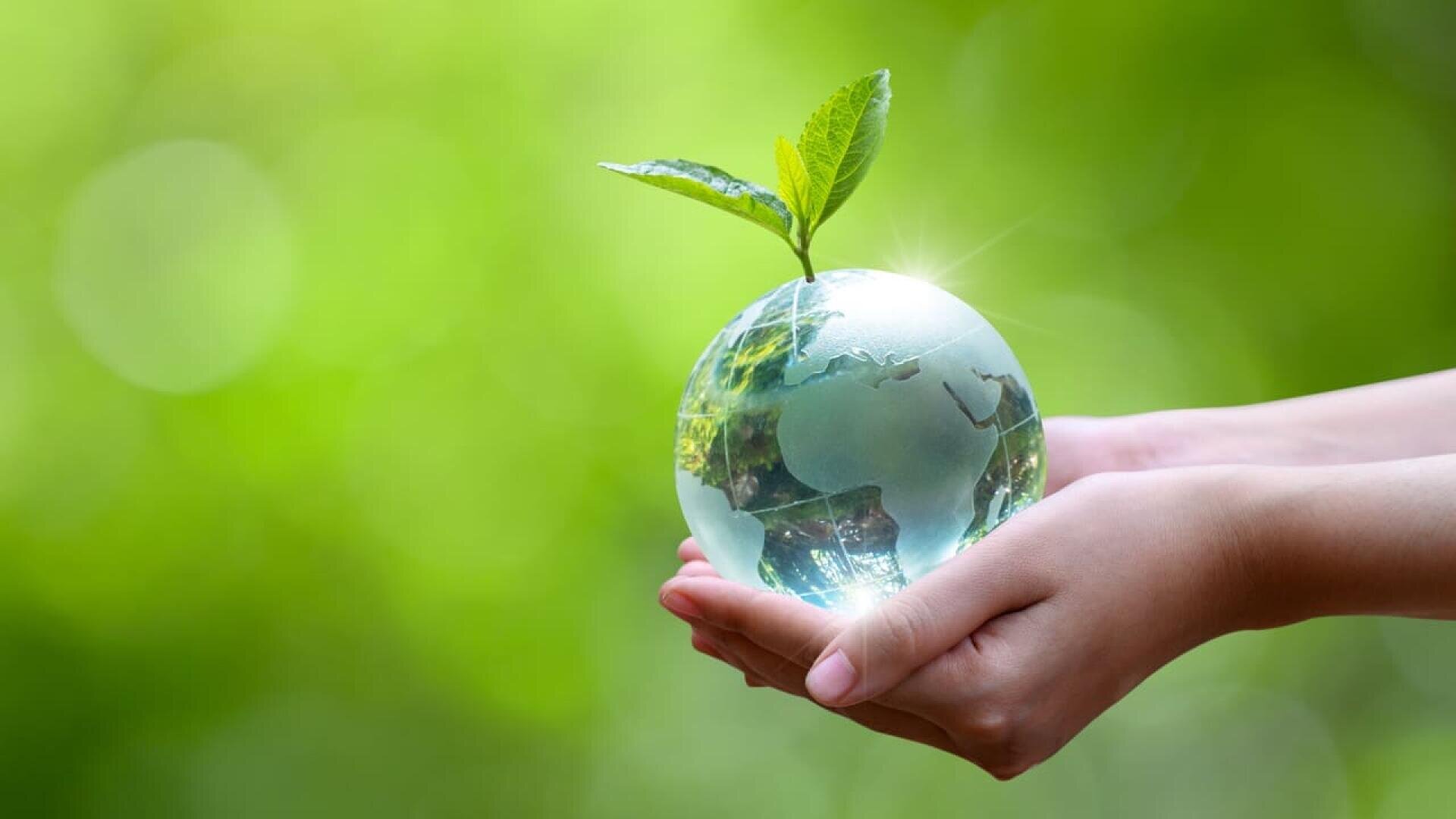 A pair of hands gently holds a glass globe with a small green plant sprouting from it, symbolizing environmental care and sustainability, against a blurred green background.