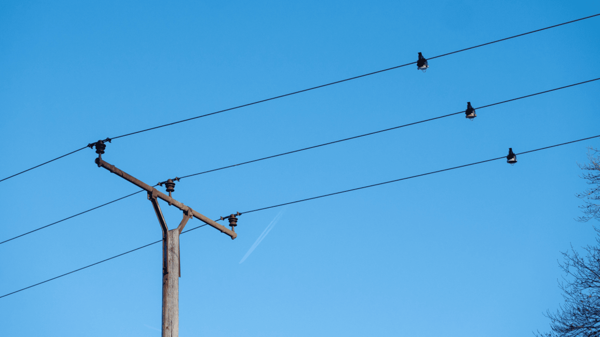 Ein hölzerner Strommast mit drei Stromleitungen spannt sich diagonal über den klaren blauen Himmel. Vier Vögel sitzen einzeln auf den Drähten, und im Hintergrund ist ein schwacher Kondensstreifen eines Flugzeugs zu sehen.