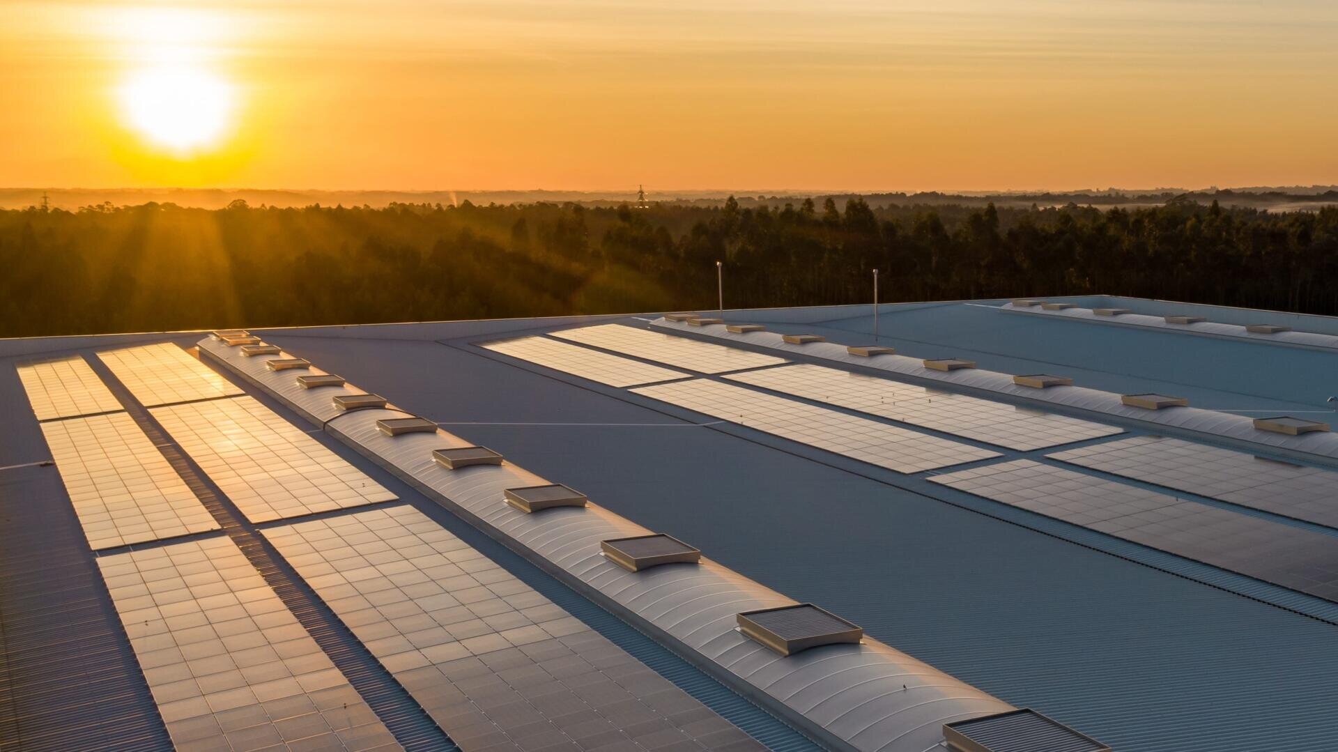 Sonnenkollektoren auf einem großen Industriedach reflektieren das goldene Licht des Sonnenaufgangs oder Sonnenuntergangs, während im Hintergrund ein Waldgebiet bei klarem Himmel zu sehen ist.